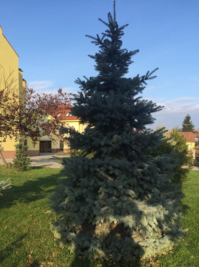 Mamre Szallo Hajduboszormeny Bagian luar foto